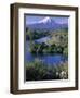 Mt. Egmont, North Island, New Zealand-Doug Pearson-Framed Photographic Print