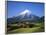 Mt.Egmont, Taranaki, North Island, New Zealand-Steve Vidler-Framed Photographic Print