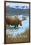 Mt. Evans, Colorado Elv. 14,270 - Moose and Lake-Lantern Press-Framed Art Print