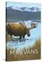 Mt. Evans, Colorado Elv. 14,270 - Moose and Lake-Lantern Press-Stretched Canvas