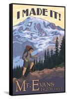 Mt. Evans, Colorado - Hiking Scene-Lantern Press-Framed Stretched Canvas