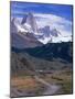 Mt. Fitzroy, Patagonia, Argentina-Walter Bibikow-Mounted Photographic Print