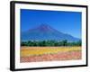 Mt. Fuji and Cosmos Flowers, Oshino, Yamanashi, Japan-null-Framed Photographic Print