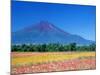 Mt. Fuji and Cosmos Flowers, Oshino, Yamanashi, Japan-null-Mounted Photographic Print