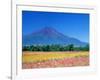 Mt. Fuji and Cosmos Flowers, Oshino, Yamanashi, Japan-null-Framed Photographic Print