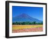 Mt. Fuji and Cosmos Flowers, Oshino, Yamanashi, Japan-null-Framed Photographic Print