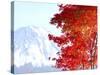 Mt. Fuji and Japanese maple tree in autumn, Yamanashi Prefecture, Honshu, Japan-null-Stretched Canvas