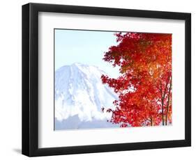 Mt. Fuji and Japanese maple tree in autumn, Yamanashi Prefecture, Honshu, Japan-null-Framed Photographic Print