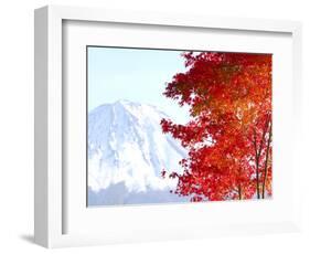 Mt. Fuji and Japanese maple tree in autumn, Yamanashi Prefecture, Honshu, Japan-null-Framed Photographic Print