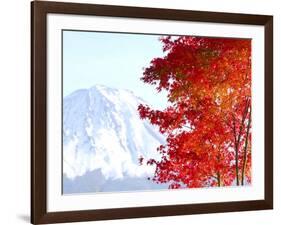 Mt. Fuji and Japanese maple tree in autumn, Yamanashi Prefecture, Honshu, Japan-null-Framed Photographic Print