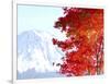 Mt. Fuji and Japanese maple tree in autumn, Yamanashi Prefecture, Honshu, Japan-null-Framed Photographic Print