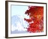 Mt. Fuji and Japanese maple tree in autumn, Yamanashi Prefecture, Honshu, Japan-null-Framed Photographic Print