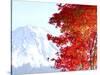 Mt. Fuji and Japanese maple tree in autumn, Yamanashi Prefecture, Honshu, Japan-null-Stretched Canvas