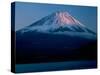 Mt. Fuji and Lake Motosu-null-Stretched Canvas