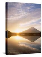 Mt. Fuji and Lake Shoji-null-Stretched Canvas