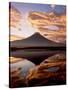 Mt. Fuji and Lake Tanuki-null-Stretched Canvas