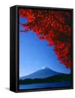 Mt. Fuji and Maple Leaves, Lake Kawaguchi, Yamanashi, Japan-null-Framed Stretched Canvas