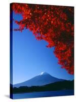 Mt. Fuji and Maple Leaves, Lake Kawaguchi, Yamanashi, Japan-null-Stretched Canvas