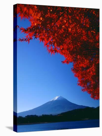Mt. Fuji and Maple Leaves, Lake Kawaguchi, Yamanashi, Japan-null-Stretched Canvas
