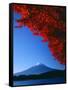 Mt. Fuji and Maple Leaves, Lake Kawaguchi, Yamanashi, Japan-null-Framed Stretched Canvas