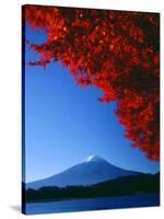 Mt. Fuji and Maple Leaves, Lake Kawaguchi, Yamanashi, Japan-null-Stretched Canvas