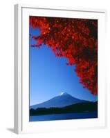 Mt. Fuji and Maple Leaves, Lake Kawaguchi, Yamanashi, Japan-null-Framed Photographic Print