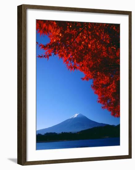 Mt. Fuji and Maple Leaves, Lake Kawaguchi, Yamanashi, Japan-null-Framed Photographic Print