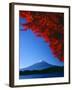 Mt. Fuji and Maple Leaves, Lake Kawaguchi, Yamanashi, Japan-null-Framed Photographic Print