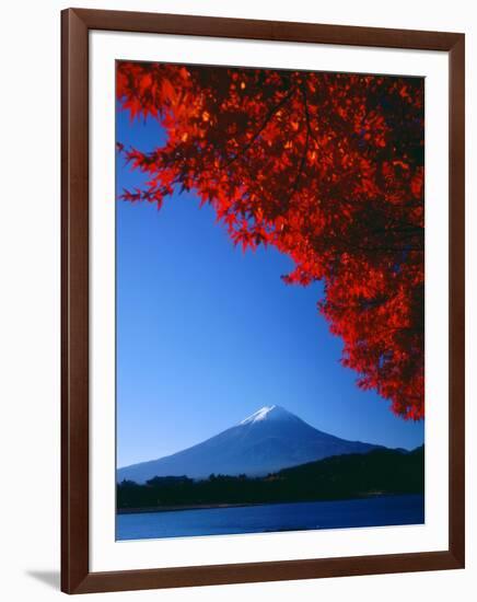 Mt. Fuji and Maple Leaves, Lake Kawaguchi, Yamanashi, Japan-null-Framed Photographic Print