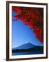 Mt. Fuji and Maple Leaves, Lake Kawaguchi, Yamanashi, Japan-null-Framed Photographic Print