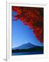 Mt. Fuji and Maple Leaves, Lake Kawaguchi, Yamanashi, Japan-null-Framed Photographic Print