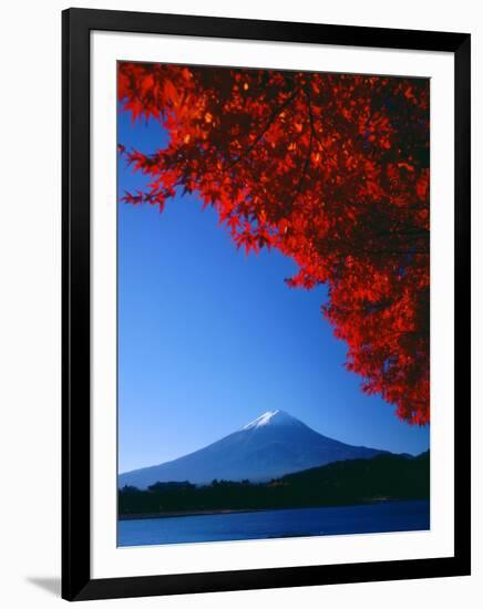 Mt. Fuji and Maple Leaves, Lake Kawaguchi, Yamanashi, Japan-null-Framed Photographic Print