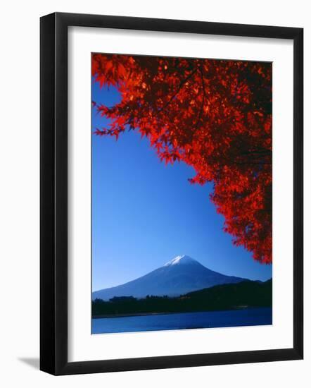 Mt. Fuji and Maple Leaves, Lake Kawaguchi, Yamanashi, Japan-null-Framed Photographic Print