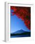 Mt. Fuji and Maple Leaves, Lake Kawaguchi, Yamanashi, Japan-null-Framed Photographic Print