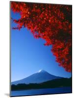 Mt. Fuji and Maple Leaves, Lake Kawaguchi, Yamanashi, Japan-null-Mounted Photographic Print