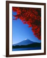 Mt. Fuji and Maple Leaves, Lake Kawaguchi, Yamanashi, Japan-null-Framed Photographic Print