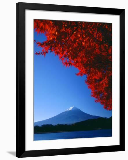 Mt. Fuji and Maple Leaves, Lake Kawaguchi, Yamanashi, Japan-null-Framed Photographic Print