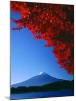 Mt. Fuji and Maple Leaves, Lake Kawaguchi, Yamanashi, Japan-null-Mounted Photographic Print