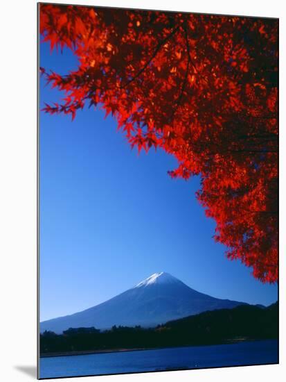 Mt. Fuji and Maple Leaves, Lake Kawaguchi, Yamanashi, Japan-null-Mounted Photographic Print