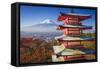 Mt. Fuji and Pagoda during the Fall Season in Japan.-SeanPavonePhoto-Framed Stretched Canvas