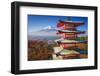 Mt. Fuji and Pagoda during the Fall Season in Japan.-SeanPavonePhoto-Framed Photographic Print