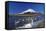 Mt.Fuji and Swan-yoshiyayo-Framed Stretched Canvas