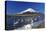 Mt.Fuji and Swan-yoshiyayo-Stretched Canvas