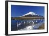 Mt.Fuji and Swan-yoshiyayo-Framed Photographic Print