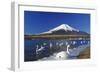 Mt.Fuji and Swan-yoshiyayo-Framed Photographic Print