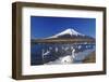 Mt.Fuji and Swan-yoshiyayo-Framed Photographic Print