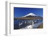 Mt.Fuji and Swan-yoshiyayo-Framed Photographic Print