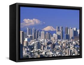 Mt.Fuji and Tokyo Shinjuku Area Skyline, Tokyo, Japan-Steve Vidler-Framed Stretched Canvas