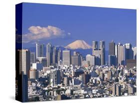 Mt.Fuji and Tokyo Shinjuku Area Skyline, Tokyo, Japan-Steve Vidler-Stretched Canvas