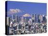 Mt.Fuji and Tokyo Shinjuku Area Skyline, Tokyo, Japan-Steve Vidler-Stretched Canvas